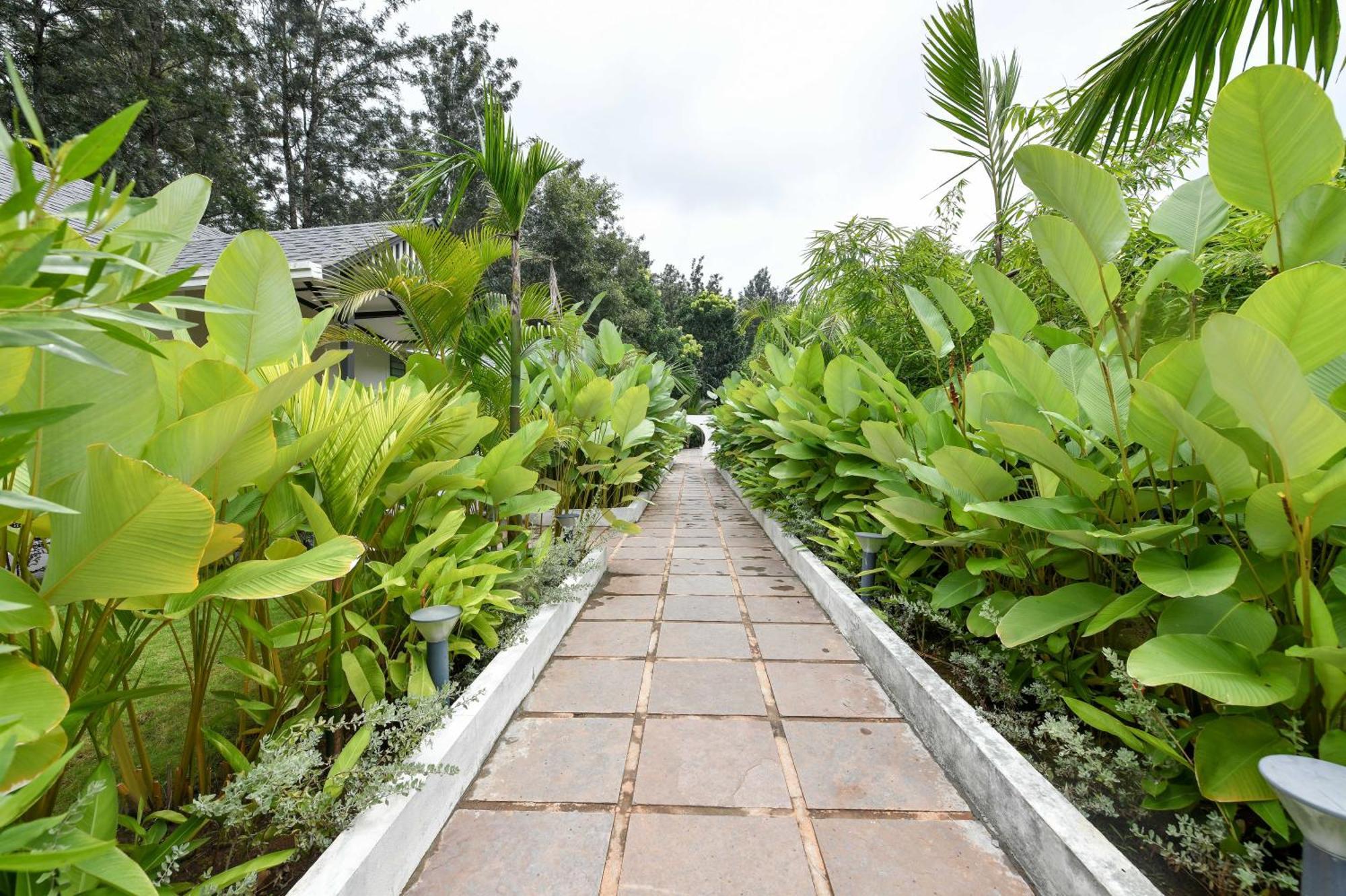 Inventree Aranya Resort & Spa Madikeri Ngoại thất bức ảnh